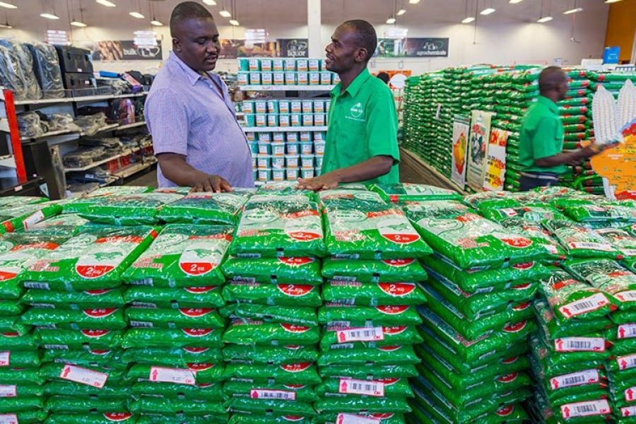 Seed Co Reports 93% Revenue Growth in FY25, but Government Debt