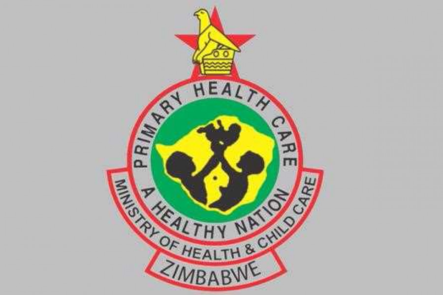 Zhsf Zimbabwe Cuts Health Sector Fees, but Workforce and Infrastructure Gaps ...