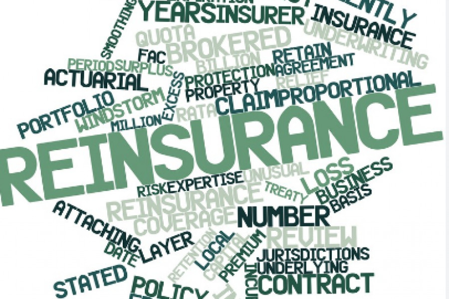 South Africa's Insurance Market in Turmoil: Reinsurance Rates Soar ...