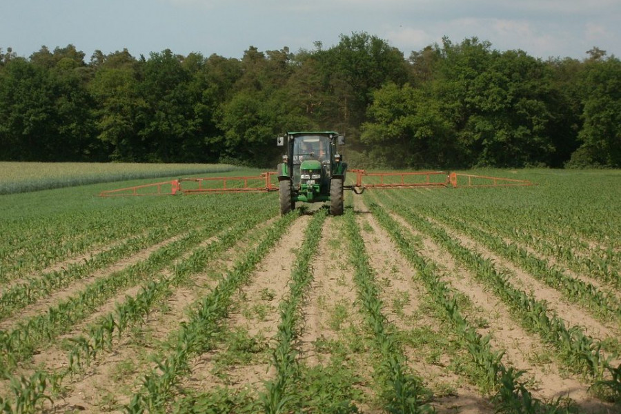 Zimbabwe’s Potential of Reclaiming Bread Basket Status
