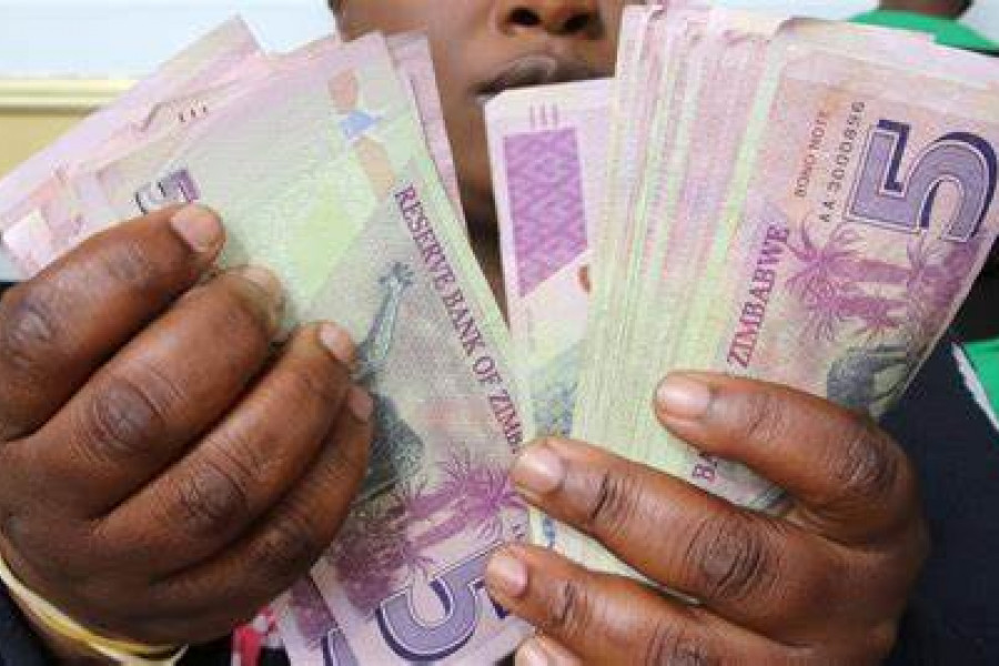 Zim Dollar Continues to Decline After Contentious Elections