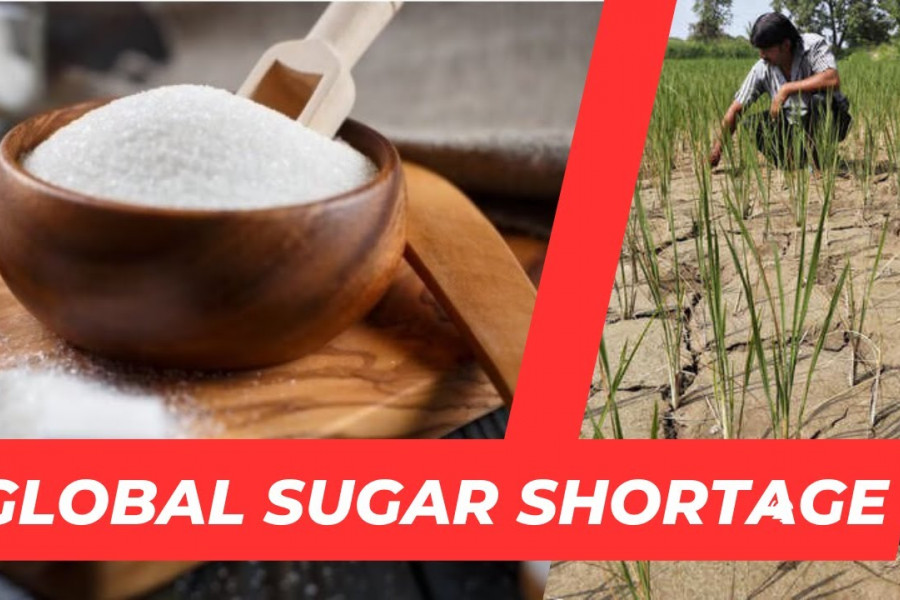 Global Sugar Crisis: Can Zimbabwe Leverage Opportunity?